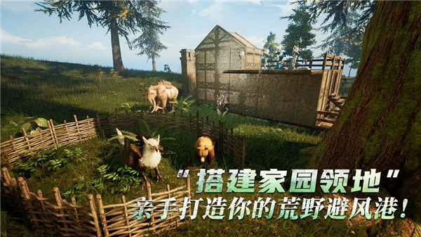 黑光生存进化国际服